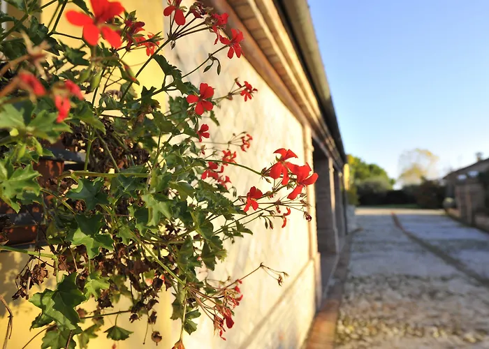 Il Podere Del Germano Reale 4* Coriano
