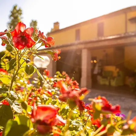 Il Podere Del Germano Reale Coriano