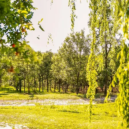 Il Podere Del Germano Reale