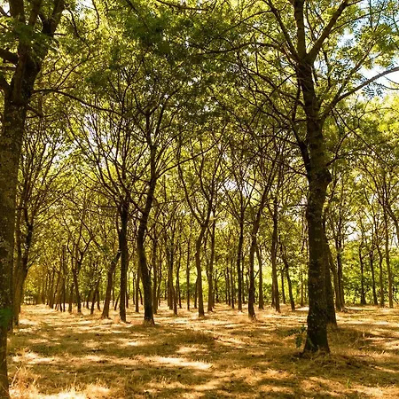 酒店 Il Podere Del Germano Reale