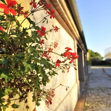 Il Podere Del Germano Reale Hotel 4*