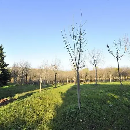 Il Podere Del Germano Reale 4*