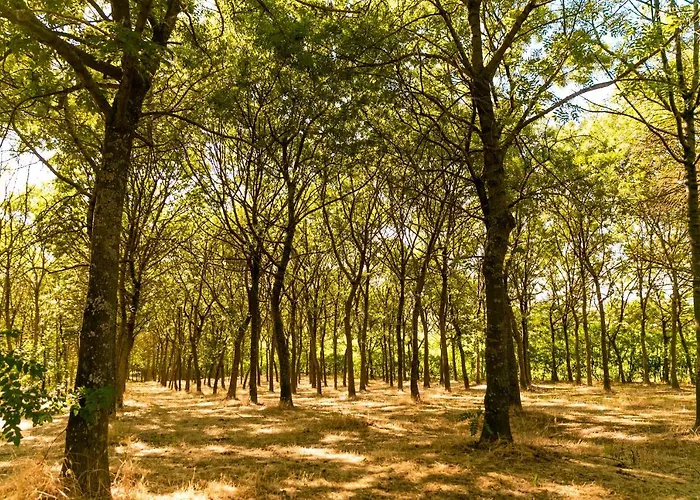 Hotel Il Podere Del Germano Reale