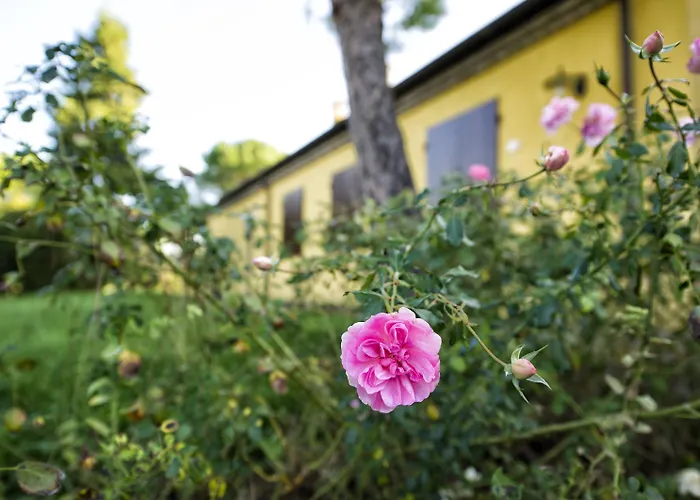 Il Podere Del Germano Reale Coriano
