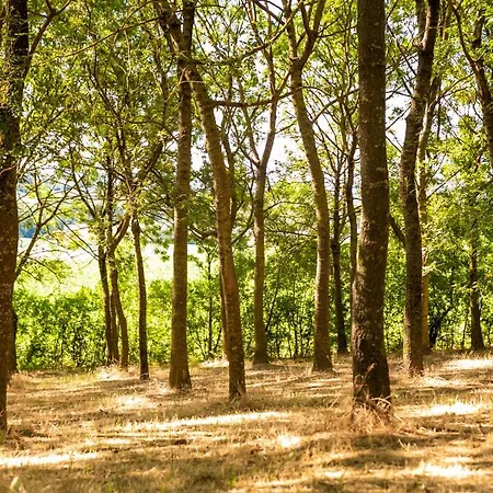 Il Podere Del Germano Reale Отель